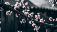 有些時(shí)候，我們所做的一些小事，在不經(jīng)意間，