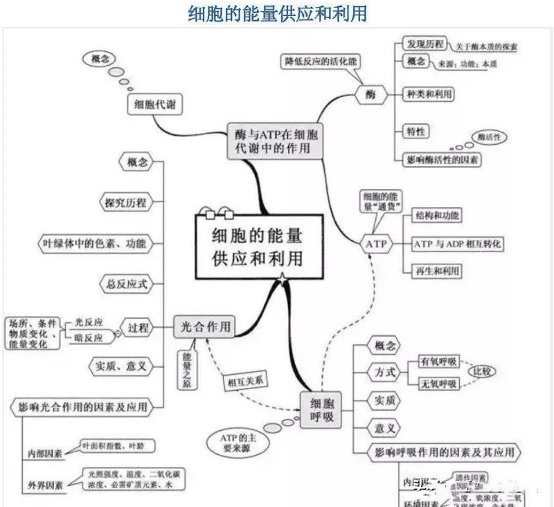 高中生這樣進行課后復(fù)習(xí)比聽課都重要，您孩子做到了嗎？