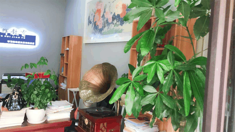 百年教育強勢進駐云陽，著力打造教育培訓事業(yè)新高地！