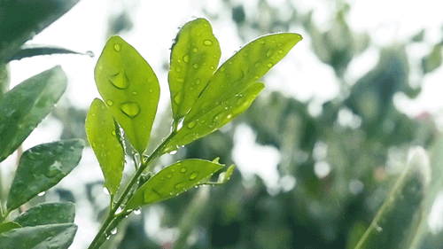 寫給即將中考的你：最后一段，愿你穩(wěn)穩(wěn)地幸福！