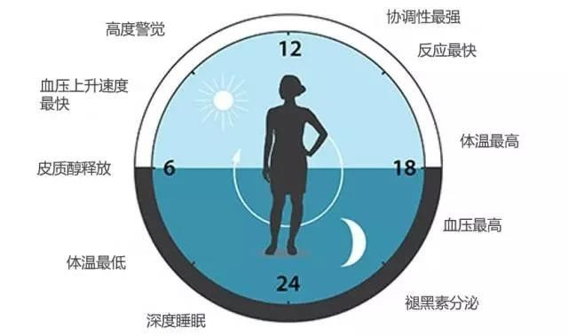 請轉(zhuǎn)給晚睡的學(xué)生:熬夜學(xué)習(xí)精神可嘉,但方法不可??!